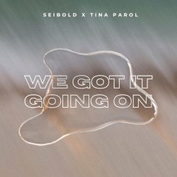 We Got It Going On