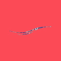 Wall Sailor