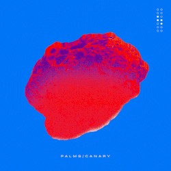 Palms/Canary