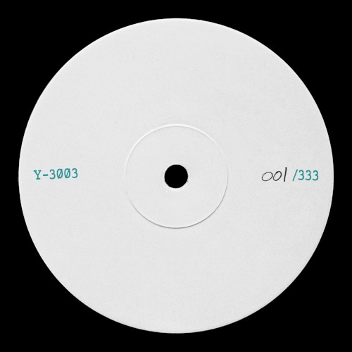 Y-3003