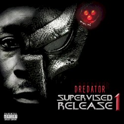 Supervised Release, Vol.1