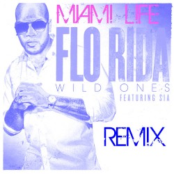 Wild Ones (Miami Life remix)