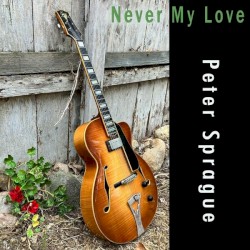 Never My Love
