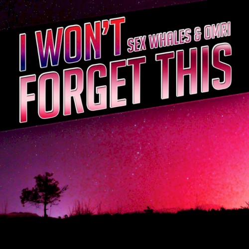 I Won’t Forget This