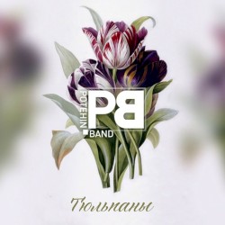 Тюльпаны