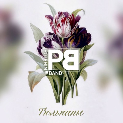 Тюльпаны
