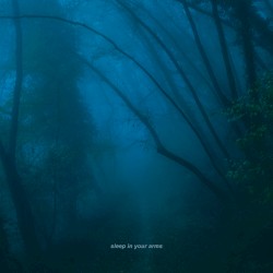 sleep in your arms