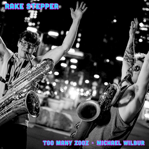 Rake Stepper