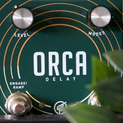 Orca