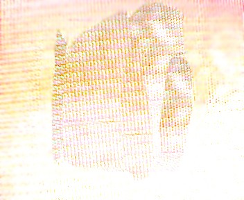 Looking Through a Rose Colored Monitor