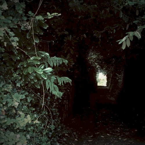 Weight of Shadow
