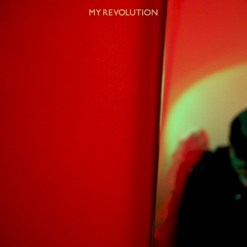 MY REVOLUTION