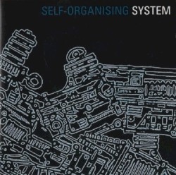 Self-Organising System