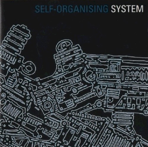 Self-Organising System