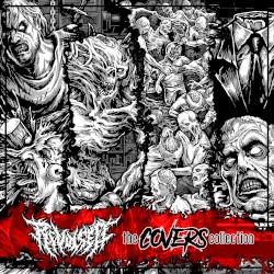 The Covers Collection