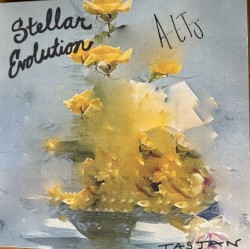 Stellar evolution