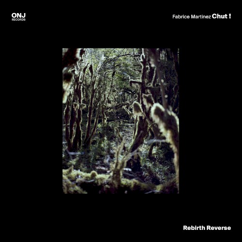 Rebirth Reverse