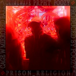 Cage W/ Mirrored Bars