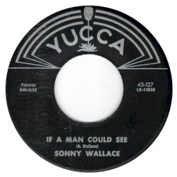If A Man Could See / Black Cadillac