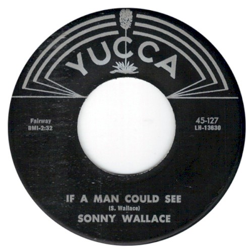 If A Man Could See / Black Cadillac