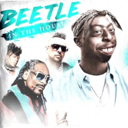 Beetle in the House (remix)