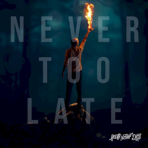Never Too Late