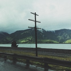 without a way home