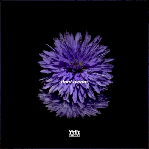 don't bloom