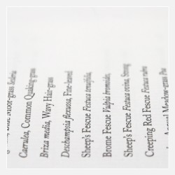 Wolf Notes