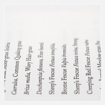 Wolf Notes