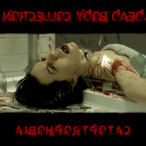 Catoptrophobia