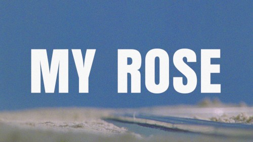 MY ROSE