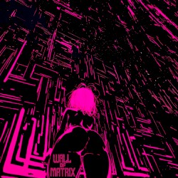 Wall of Matrix