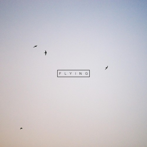 Flying
