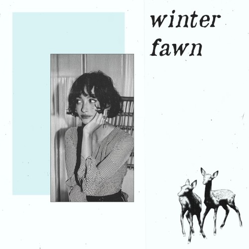 winter fawn
