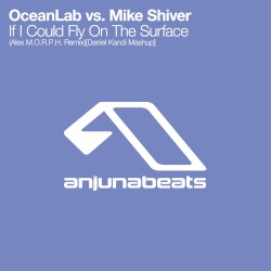 If I Could Fly On The Surface (Alex M.O.R.P.H. remix) (Daniel Kandi mashup)