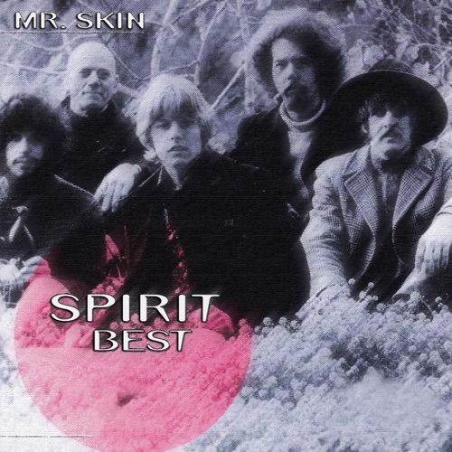 Best: Mr. Skin