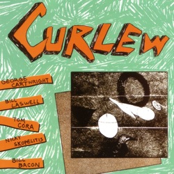1st Album + Live At CBGB 1980