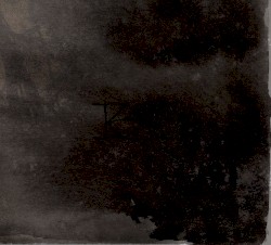 IV