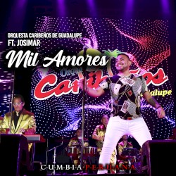 Mil amores