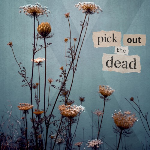 Pick Out The Dead