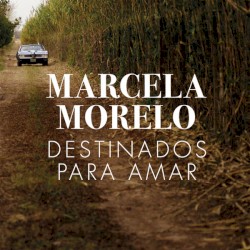 Destinados para amar