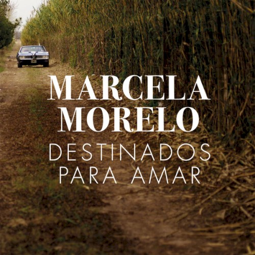 Destinados para amar