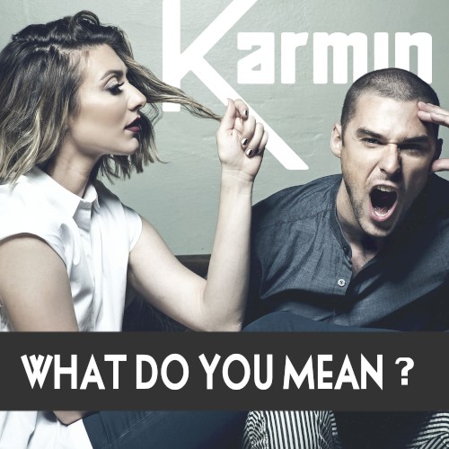 What Do You Mean? - Single