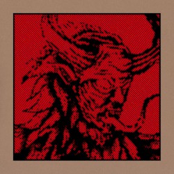 RR2