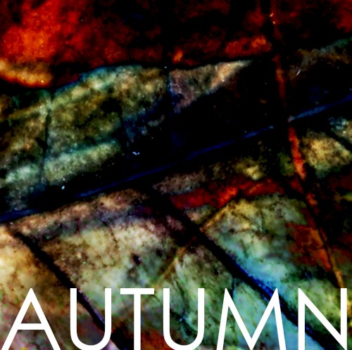 AUTUMN o4