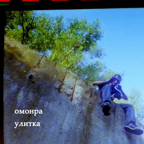 Улитка