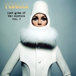 Pebbles: Lost Gems of the Sixties Vol. 3