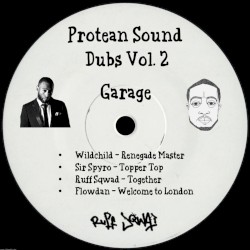Protean Sound Dubs Vol. 2 (Garage)