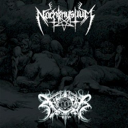 Nachtmystium / Xasthur